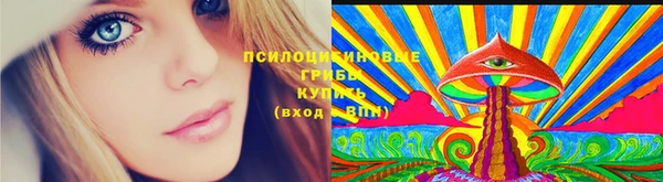 марки lsd Бородино